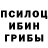 Псилоцибиновые грибы прущие грибы phpy