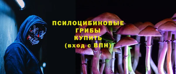 соль ск Белокуриха