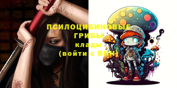соль ск Белокуриха