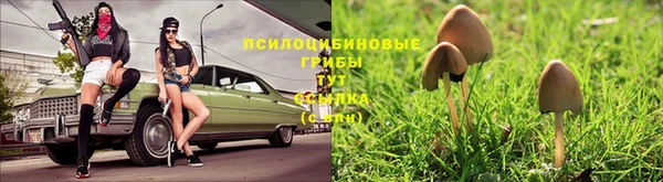 соль ск Белокуриха