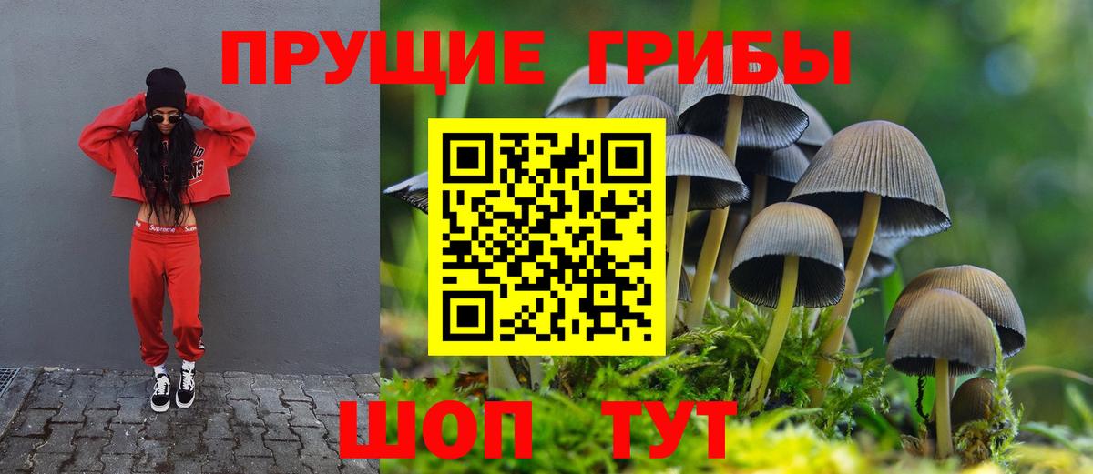 Галлюциногенные грибы ЛСД  Вход с VPN  Галлюциногенные грибы GOLDEN TEACHER  Буйнакск 